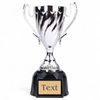 Radley Silver Cup