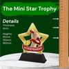 Mini Star Achievement Trophy