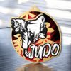 Aurum Judo Stainless Steel Medal