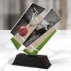 Paris Cricket Trophy