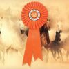 Orange Satin Feel Logo Rosette