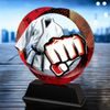 Onyx Stainless Steel Martial Arts Trophy