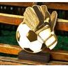 Sierra Classic Football Goalkeeper Wood Trophy