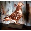 Sierra Classic Pigeon Real Wood Trophy