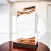United Rowing Acrylic Wood Fusion Trophy