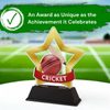 Mini Star Cricket Trophy