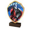 Arden Boxing Real Wood Shield Trophy