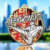 Aurum Taekwondo Stainless Steel Medal