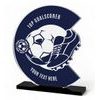 Cantu Deluxe Custom Printed Top Goal Scorer Football Trophy