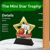 Mini Star Basketball Trophy