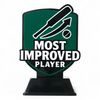 Pavilion Most Improved Player Cricket Trophy