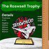 Roswell Taekwondo Trophy