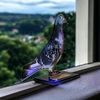 Cannes Pigeon Trophy