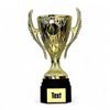 Thomas Gold Cup