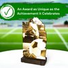 Shard Classic Football Eco Friendly Wooden Trophy