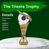 Trieste Rifle Shooting Trophy