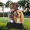 Ostrava Dog Multi Breed Trophy