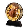 Roswell Horse Riding Trophy