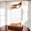 United Swimming Acrylic Wood Fusion Trophy
