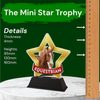 Mini Star Equestrian Trophy