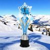 Verbier Biathlon Shooting Snowflake Trophy