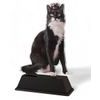 Ostrava Cat Show Trophy