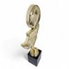 Matthews Football Trophy