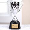 Radley Silver Cup