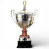 Zarrillo Silver & Gold Plated Championship Cup