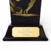 Shadowline Rugby Most Improved Trophy – Stainless Steel Award