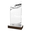 United Acrylic Wood Rowing Trophy