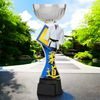 Montreal Martial Arts Silver Cup Trophy