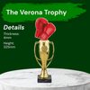 Verona Boxing Gloves Trophy