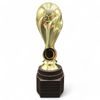 Maradona Gold Logo Insert Football Trophy