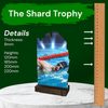 Shard Swimming Eco Friendly Wooden Trophy