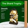 Shard Classic American Football Eco Friendly Wooden Trophy