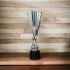Chester Ice Hockey Silver Trophy