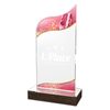 United Acrylic Wood Ballet Trophy