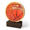 Holt Colour Basketball Real Wood Trophy