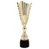 Chester Pool Gold Trophy