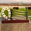 Aragon Horse Shoe Handmade Metal Trophy