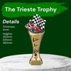 Trieste Go Kart Trophy
