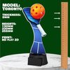 Toronto Pickleball Trophy