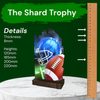 Shard American Football Eco Friendly Wooden Trophy