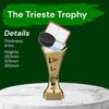 Trieste Ice Hockey Goal Trophy
