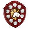 Anglia Martial Arts Rosewood Wooden 10 Year Annual Shield
