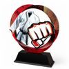 Onyx Stainless Steel Martial Arts Trophy