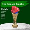 Trieste Boxing Gloves Trophy