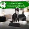 Ostrava Cat Show Trophy
