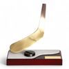 Aragon Ice Hockey Handmade Metal Trophy